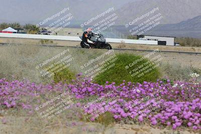 media/Feb-04-2023-SoCal Trackdays (Sat) [[8a776bf2c3]]/Turn 15 Inside Blooming (1050am)/